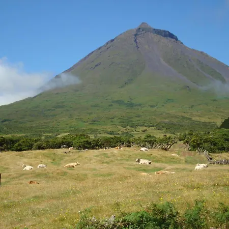 Casa Da Bicuda Pensjonat 4*