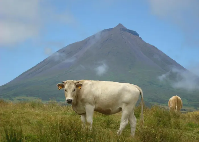 Pensjonat Casa Da Bicuda Ribeiras
