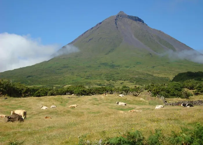 Casa Da Bicuda Pensjonat 4*